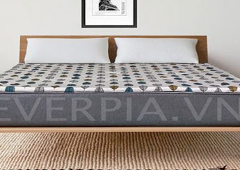Đệm bông ép Everon Lite