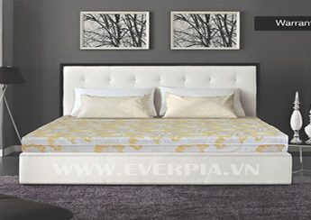 Đệm bông ép than hoạt tính Everon