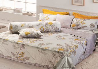 Bộ chăn ga gối Everon Curtis EP1831