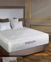 Đệm lò xo Everon Comfort Spine Classic