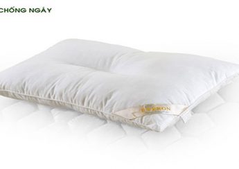 Ruột gối Everon chống ngáy