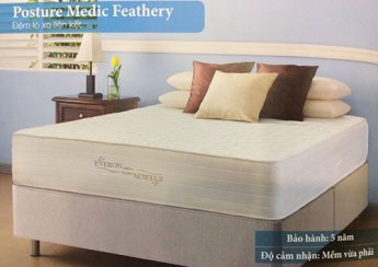 Đệm lò xo liên kết Everon Posture Medic Feathery
