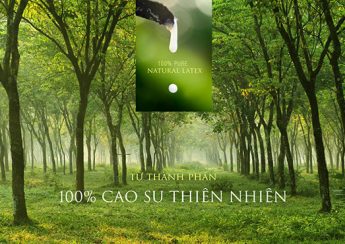 Đệm cao su thiên nhiên