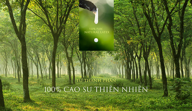Đệm cao su thiên nhiên